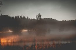 wildfires expected to impact hemp crops e1600876426126