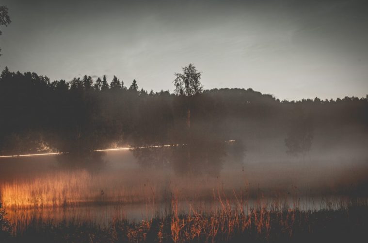 wildfires expected to impact hemp crops e1600876426126