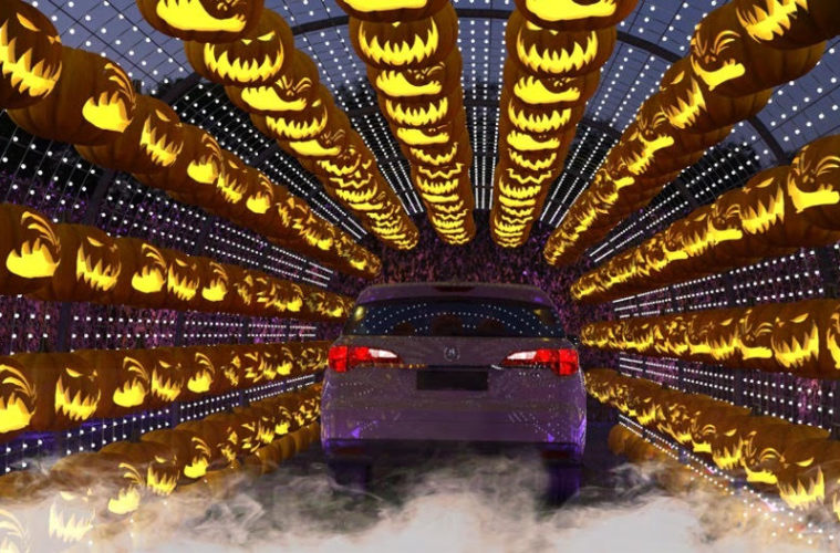 Pumpkins & Pandemic: A Socially Distanced Guide to Halloween 38 0 3