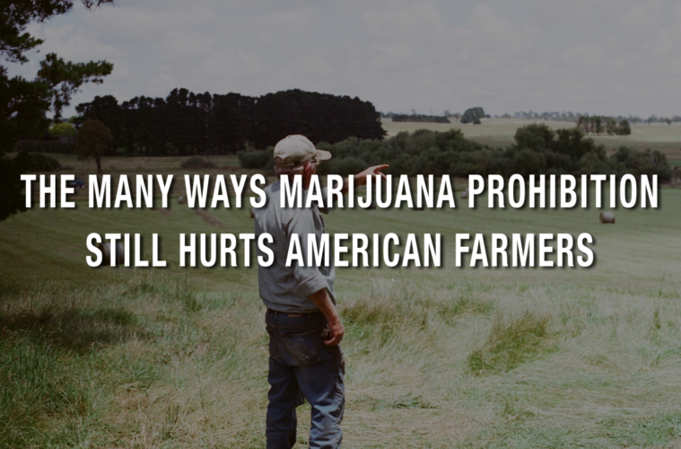 01 Monday Image Cowan