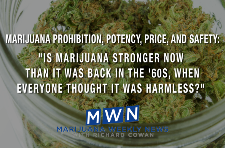 Marijuana Prohibition And Potency, Price And Safety 38 01 Monday Image MWN Cowan 1