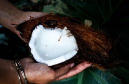cannabis and coconut oil the pot power couple 1068x580 1