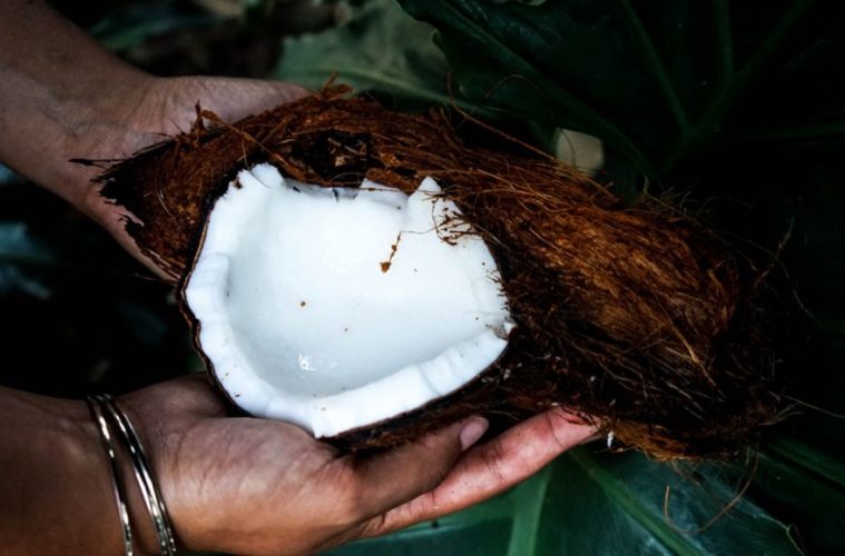 cannabis and coconut oil the pot power couple 1068x580 1