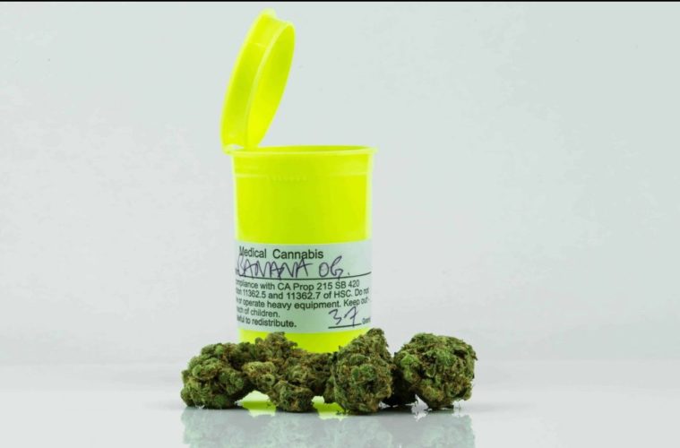Don’t Assume You Have The Complicated Cannabis Industry Figured Out 38 cannabis industry e1601929027306