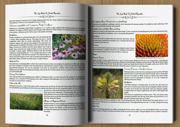 the lost book of herbal remedies pdf download