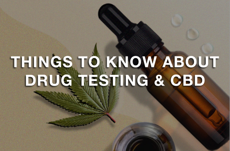 03 Wednesday Image CBD Drug Test Info