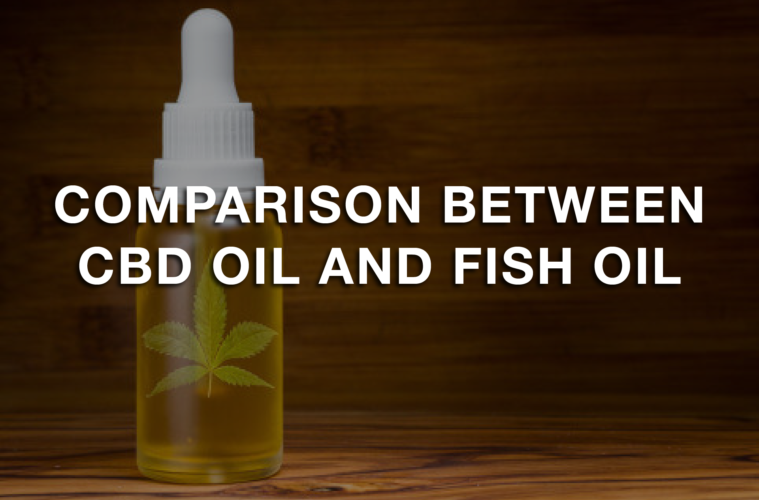 Comparison Between CBD Oil and Fish Oil 38 06 Saturday Image Trusted Hemp Extract