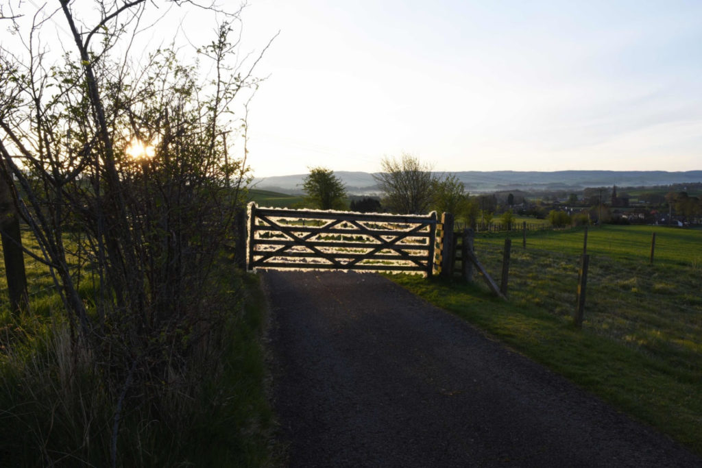 Andy Goldsworthy. Wool Gate. Sunrise. Dumfriesshire Scotland. 24 April 2020 2020. Detail