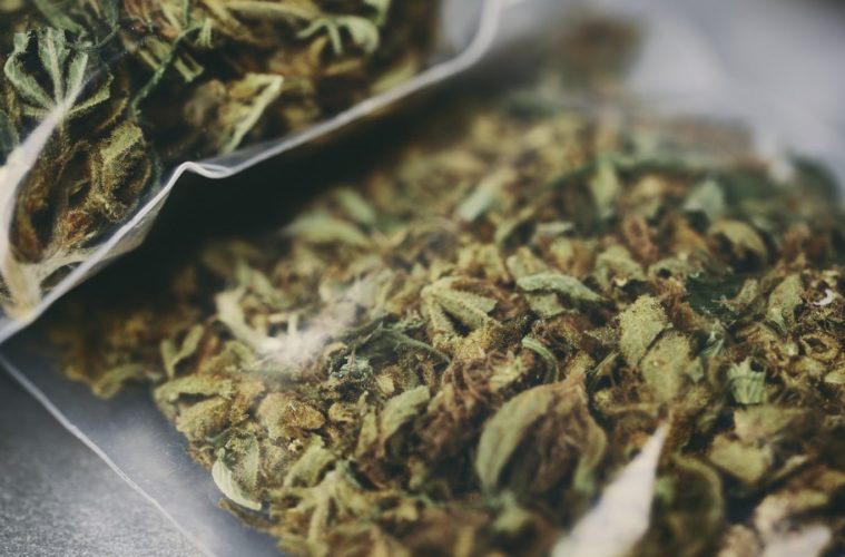 The Progressive Impact Psychedelics & Cannabis Are Having Within The Medical Community 38 Bag