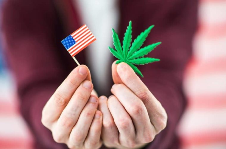 The Best Tweets Celebrating Marijuana’s 2020 Election Victories 38 Election results