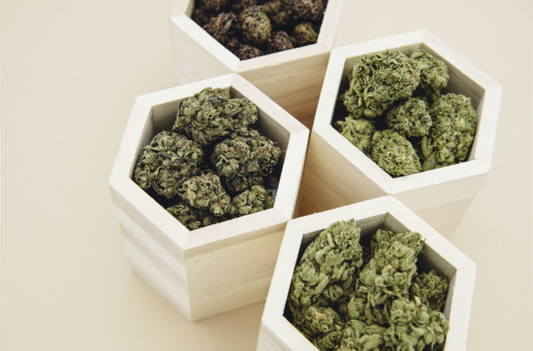 The L.A. Green Wednesday Steals and Deals Guide 2020 38 GHF Product01 31