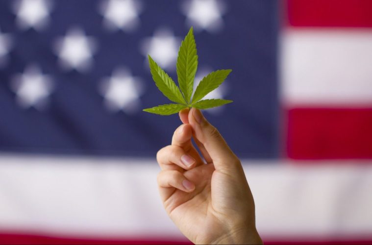 Could Marijuana Legalization Unite A Divided Country? 38 GettyImages 1227117638 e1605640317490