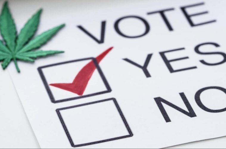 Did Marijuana Prohibition Cost Trump The Election? 38 GettyImages 694234390 e1605298530471