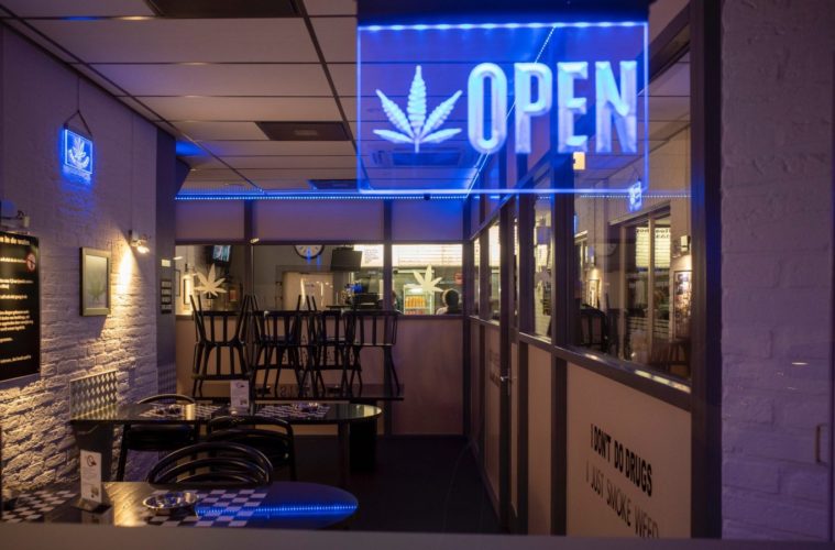 More Americans Than Ever Are In Support Of Legal Marijuana 38 Support