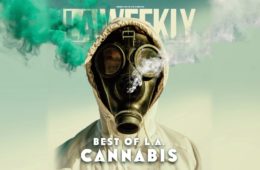 cannabis2