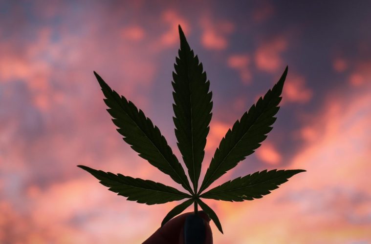 Drug Decriminalization Vs. Legalization — Here’s The Difference 38 decriminalization vs legalization 1 e1604945829218