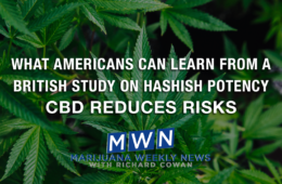 What Americans Can Learn From A British Study On Hashish Potency – CBD Reduces Risks 54 01 Monday Image MWN Cowan