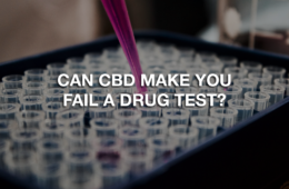 02 Tuesday Image Pass CBD Drug Test 1