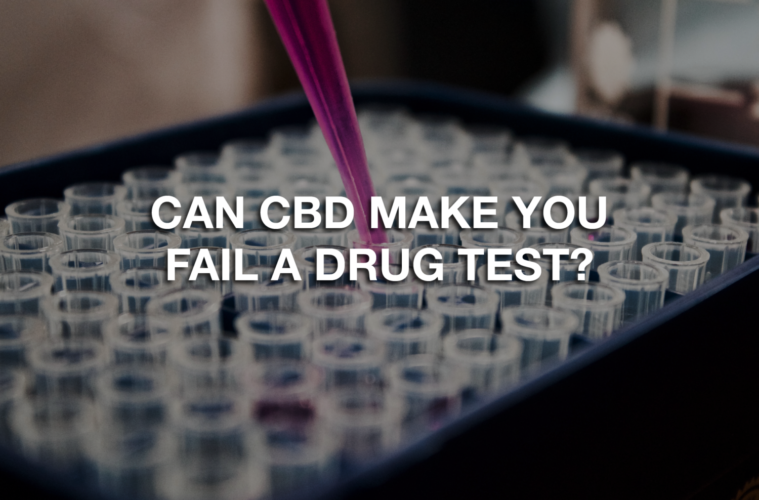 02 Tuesday Image Pass CBD Drug Test 1