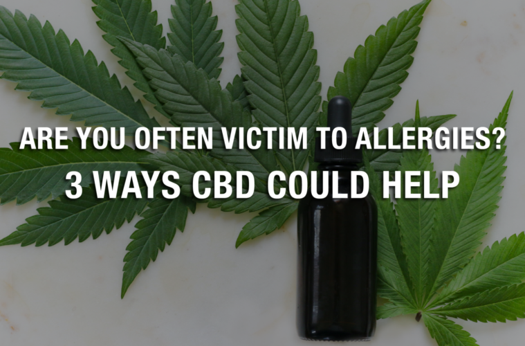 Are You Often Victim to Allergies? 3 Ways CBD Could Help 38 06 Saturday Image Trusted Hemp Extract 1