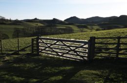 Andy Goldsworthy Wool Gate. Sundown. Dumfriesshire Scotland. 24 April 2020 02