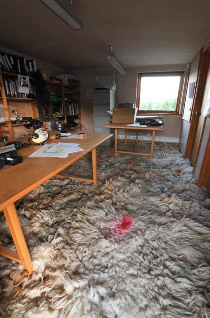 Andy Goldsworthy Wool. Office in lockdown. Dumfriesshire Scotland. 13 June 2020