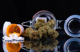 Cannabis And Pain Management Is Alternative Plant Medicine Becoming The New Norm e1608516984683