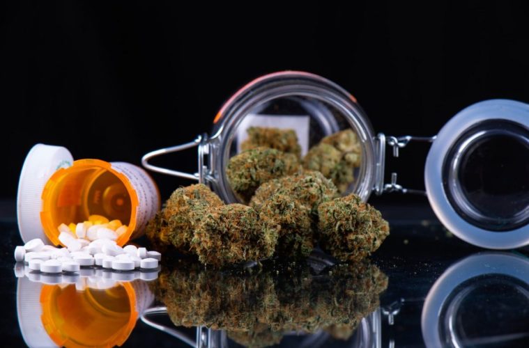 Cannabis And Pain Management: Is Alternative Plant Medicine Becoming The New Norm? 38 Cannabis And Pain Management Is Alternative Plant Medicine Becoming The New Norm e1608516984683