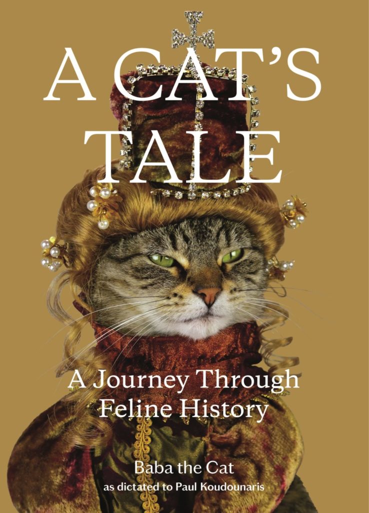 Cats Tale cover 1