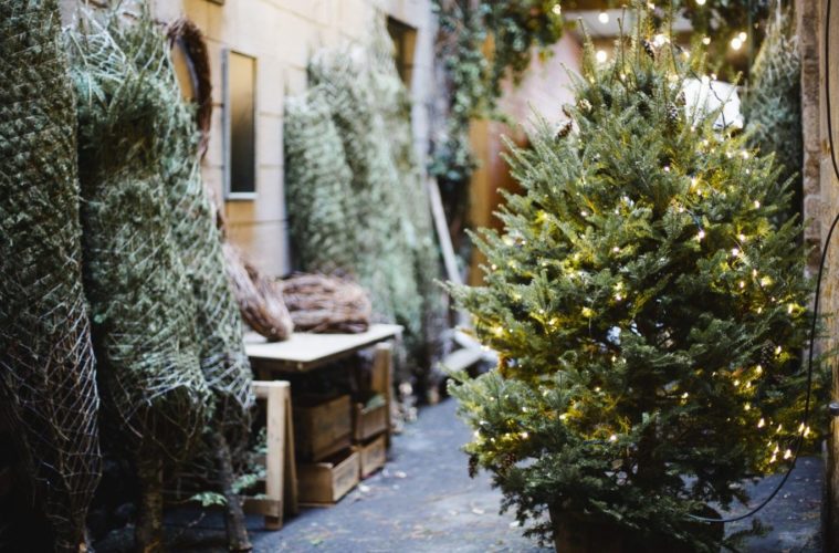 This Adorable Thing Happened To Prince Harry At A Christmas Tree Lot 38 GettyImages 1190689727 e1607132256965