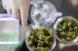 heres where consumers draw the line at where cannabis is sold 1068x580 1