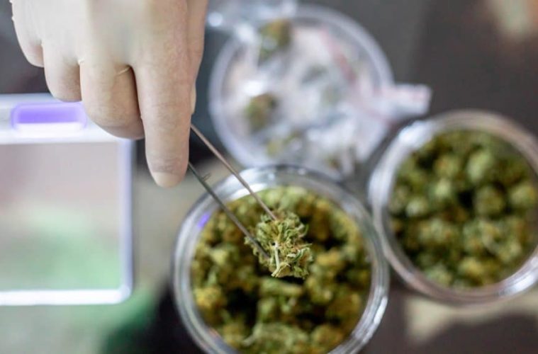 heres where consumers draw the line at where cannabis is sold 1068x580 1