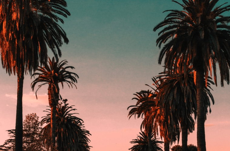 Theater: <I>The Zip Code Plays</i> Deliver Los Angeles to Your Laptop 38 zip code plays program image