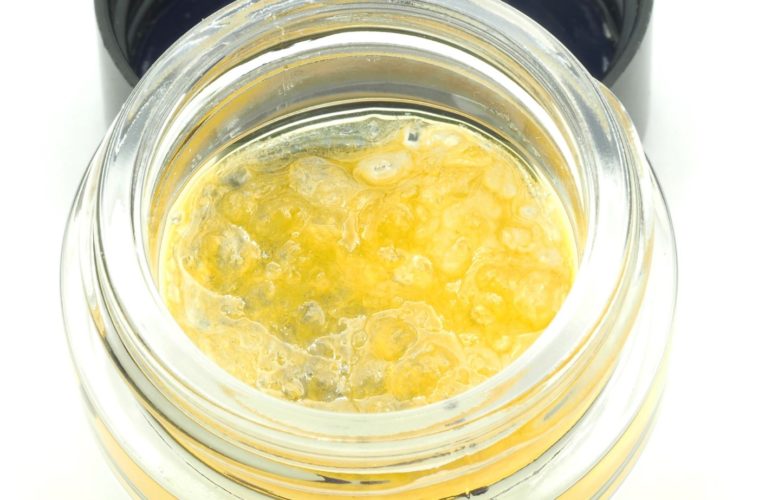 The World Champs at Humboldt Terp Council Join Cannacraft to Go Big in 2021 38 IMG 0046crop
