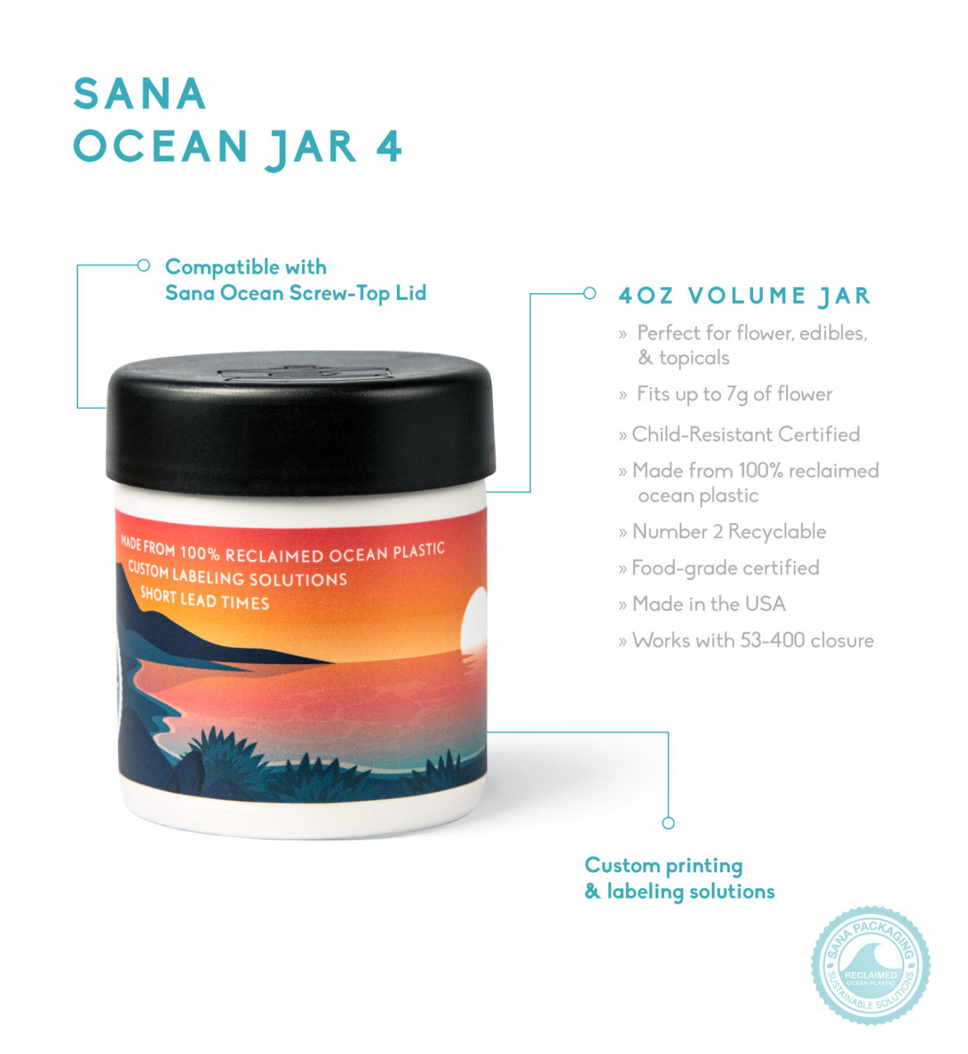 Sana Ocean Jar 4 infographic 1