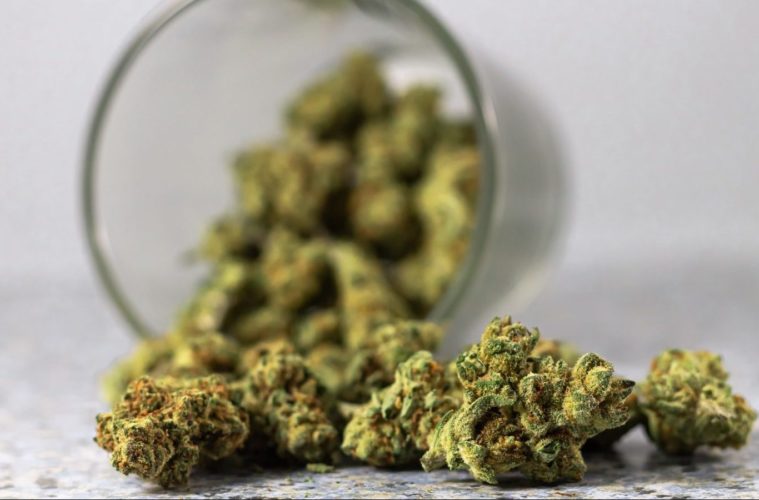 Survey Says Americas Favorite Way To Kick Opiates Is Cannabis e1611617301552