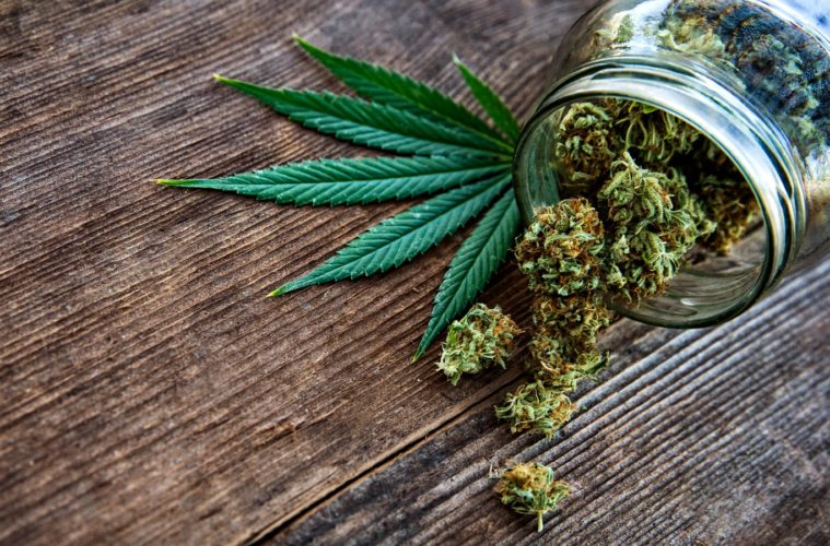 these states are most likely to legalizing marijuana in 2020 1
