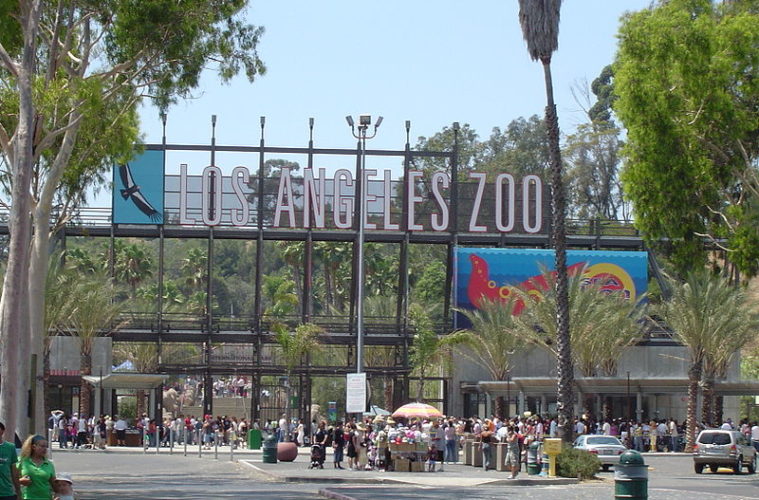 800px LAzoo