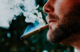 Will California Really Ban Smokable Hemp e1613154060468