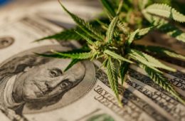 Will We Finally Have Free Trade For Marijuana After Legalization e1614011578206