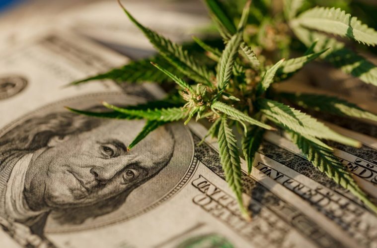 Will We Finally Have Free Trade For Marijuana After Legalization? 38 Will We Finally Have Free Trade For Marijuana After Legalization e1614011578206