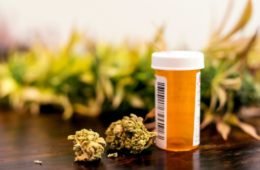 maybe medical marijuana isnt the opioid epidemic savior 1068x580 1