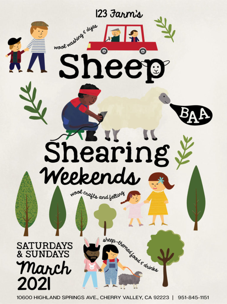 Sheep Shearing Weekends at 123 Farm
