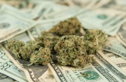 when it comes to cannabis tax here are the states that win