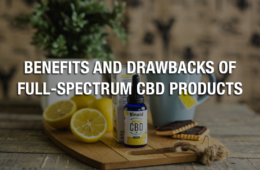 02 Tuesday Image The Right CBD Products