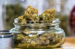 Arizona Cities Ban Recreational Marijuana Establishments e1614556125225