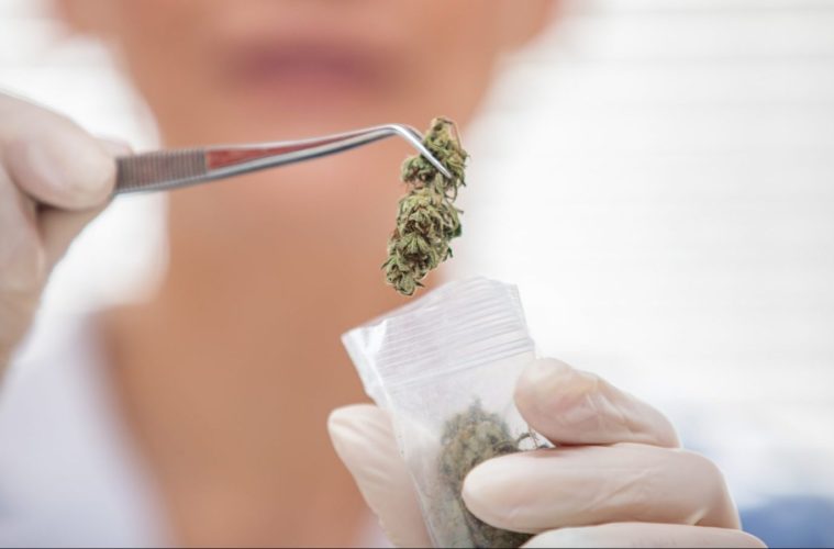 Biden Betrayal Shows Cannabigotry In The White House 38 Biden Betrayal Shows Cannabigotry In The White House e1616520388853
