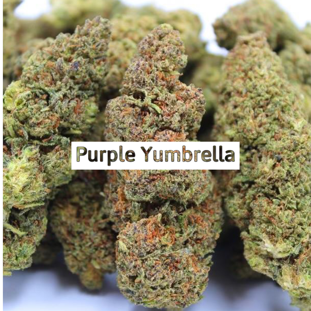 Purple Yumbrella