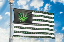 Will Prohibitionists Tie The New Conservative Movement To Trump e1616446268856