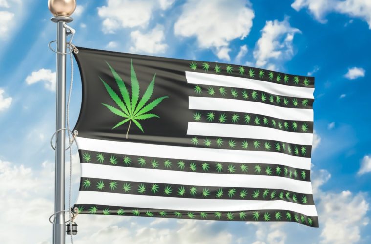 Will Prohibitionists Tie The New Conservative Movement To Trump? 38 Will Prohibitionists Tie The New Conservative Movement To Trump e1616446268856